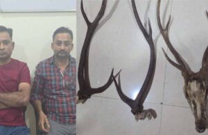 रायपुर में वन विभाग की टीम ने बड़ी कार्रवाई, हिरण के सींग के साथ 2 शिकारी गिरफ्तार