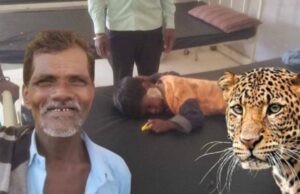 आदमखोर तेंदुए से लड़कर पोते की जान बचने वाले 65 साल के बुजुर्ग को कलेक्टर ने किया सम्मानित
