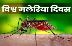 बेमेतरा : विश्व मलेरिया दिवस पर जागरूकता रथ रवाना, मलेरिया उन्मूलन का लिया संकल्प