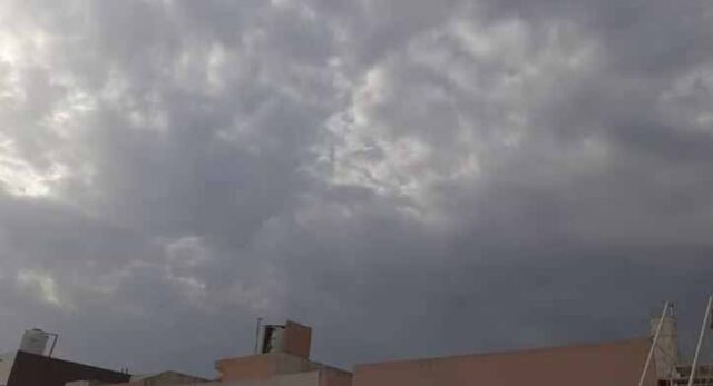 mosam-18.jpg