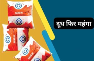 एमपी में सांची दूध के रेट बढ़े:आज से दो रुपए प्रति लीटर महंगा; अमूल ने 6 दिन पहले बढ़ाए थे दाम