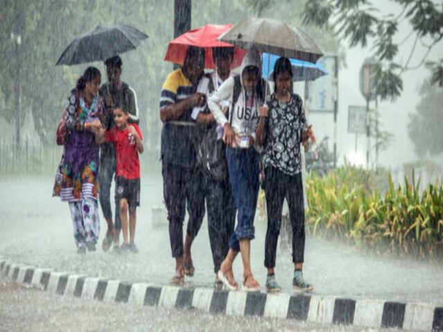 barish1-11.jpg