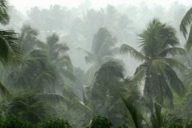 rain_A_41_1-3.jpg