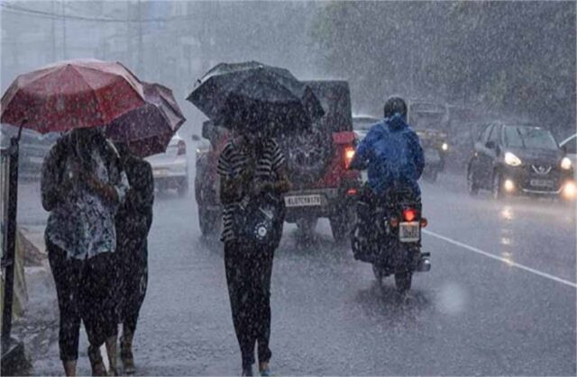 barish-17.jpg
