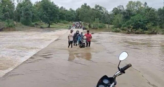 barish1-2.jpg