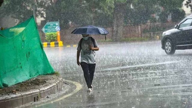 barish2-14.jpg