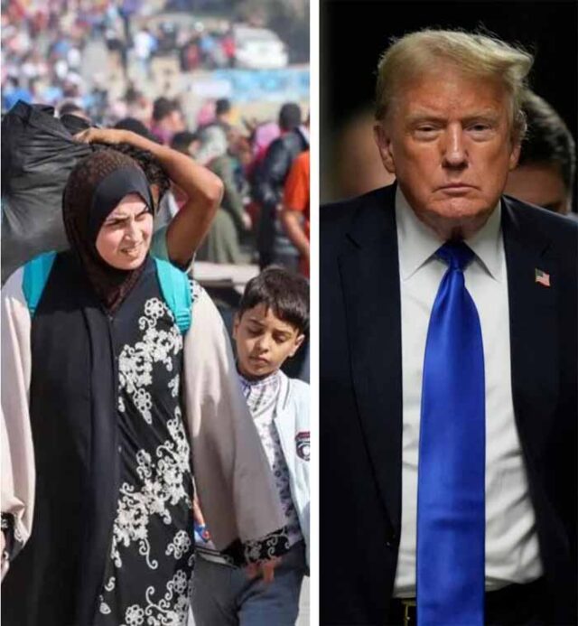 donald1-4.jpg