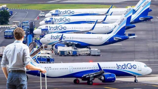 indigo1-2.jpg
