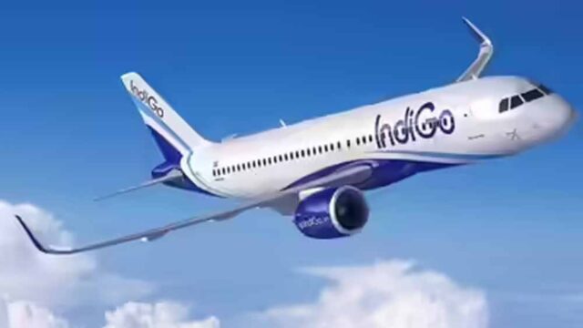 indigo4.jpg