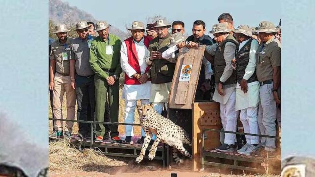 mohan1-3.jpg