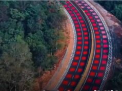 हाईवे पर लाल रंग, वन्यजीवों को जीवन का संदेश: एमपी में भारत की पहली ‘रेड रोड’ शुरू