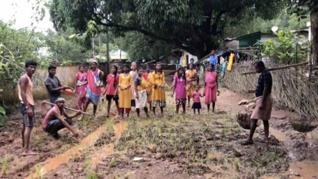 Chhattisgarh_News_11-1-4.jpg