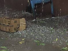 मौसम ने ली करवट, दिल्ली-NCR में तेज हवाओं के साथ बारिश; रेवाड़ी में ओलावृष्टि