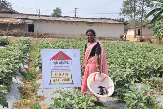उन्नत खेती से शीला राजवाड़े बनीं लखपति दीदी बिहान’ से जुड़कर संवर रही ग्रामीण महिलाओं की आजिविका