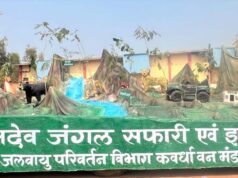 भोरमदेव अभयारण्य में बाघों के लिए गांवों को खाली किया जाएगा, प्राकृतिक धरोहर बचाने की पहल शुरू