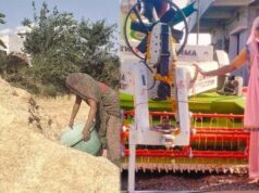 किसान दीदी ने इंदौर में पराली न जलाने की अलख जगाई, 600 बीघा खेत को किया बचा