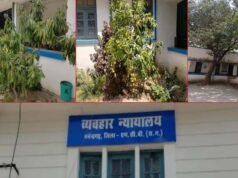 हरियाली की गोद में न्याय का मंदिर:मनेन्द्रगढ़ न्यायालय परिसर बना प्रकृति का मनमोहक आंगन