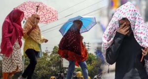 एमपी में लू का असर, 25 जिलों में गर्मी और उमस बढ़ने का अलर्ट, खजुराहो-धार में ज्यादा तपन