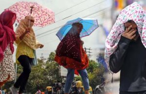 एमपी में लू का असर, 25 जिलों में गर्मी और उमस बढ़ने का अलर्ट, खजुराहो-धार में ज्यादा तपन