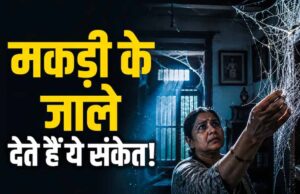 घर में मकड़ी के जाले सिर्फ गंदगी नहीं, वास्तु में माने जाते हैं अशुभ संकेत