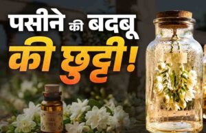 पसीने की बदबू से छुटकारा दिलाएगा मोगरे का देसी इत्र, बिना किसी खर्च के घर पर इस जादुई तरीके से करें तैयार
