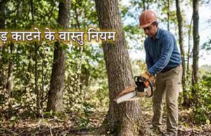 पीपल-बरगद काटना माना गया अशुभ, जानिए वास्तु में क्या कहते हैं नियम