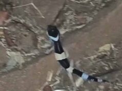 नक्सल क्षेत्र अबूझमाड़ में दिखा दुर्लभ जीव, जवानों ने रात गश्त के दौरान रिकॉर्ड किया लेपर्ड गेको का वीडियो