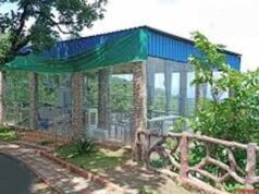 इको-टूरिज्म से नई पहचान: तुंगल में वन मंत्री का विकास मॉडल तैयार