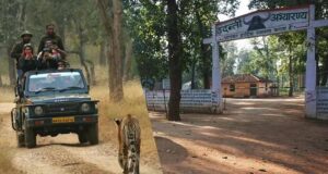 Tiger Reserve Safety: उदंती सीतानदी में हाईटेक निगरानी और ‘फायर-वॉटर’ मॉडल से जंगल को मिली सुरक्षा