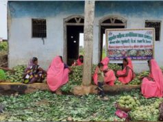 सीताफल उत्पादन और प्रसंस्करण से महिला समूहों की आर्थिक उन्नति