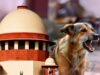 स्ट्रे डॉग्स को लेकर SC सख्त, लेकिन क्या राज्यों के पास हैं इतने शेल्टर और संसाधन?
