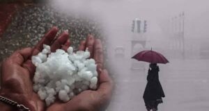 एमपी में तूफान और बारिश का डबल अटैक, कई जगह पेड़ गिरे और बिजली व्यवस्था बाधित