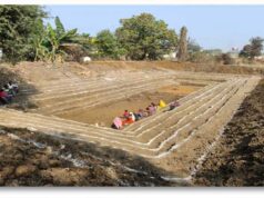 रायपुर प्रशासन का अभिनव कदम: वर्षा जल संचयन से भू-जल स्तर सुधारने की योजना
