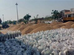 धान खरीद ने पकड़ी रफ्तार, मंडी में इस बार टूटा पिछले साल का रिकॉर्ड