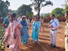 लक्ष्य पूरा करने की तैयारी तेज: तेंदूपत्ता फड़ों का निरीक्षण, अधिकारियों ने दिए जरूरी निर्देश