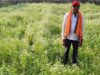 धनिया की खेती से मालामाल हुए किसान रतिराम, महासमुंद में बागवानी मिशन का दिखा असर
