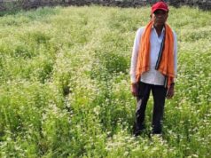 धनिया की खेती से मालामाल हुए किसान रतिराम, महासमुंद में बागवानी मिशन का दिखा असर