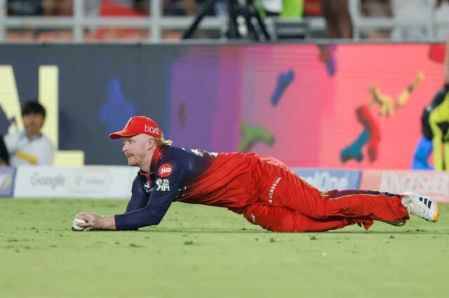 Cricket_02-1.jpg