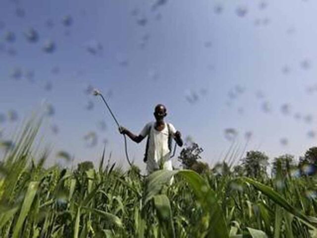 Kisan_03-2.jpg