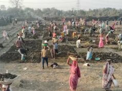 “मोर गांव, मोर तरिया” अभियान से ग्रामीण क्षेत्रों में खुशहाली, जल संरक्षण के साथ मिल रहा बंपर रोजगार