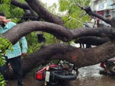 मौसम का तांडव: शिवपुरी में आंधी से बाउंड्री गिरी, पांच लोग दबे, छत से नीचे गिरीं महिला और युवती