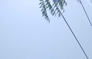एमपी ट्रांसको ने सुरक्षित दूरी सुनिश्चित कर मानव जीवन को जोखिम से बचाया