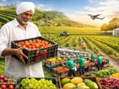 किसान कल्याण की दिशा में बड़ी सफलता, 4 साल में सब्जी उत्पादन में अभूतपूर्व वृद्धि दर्ज