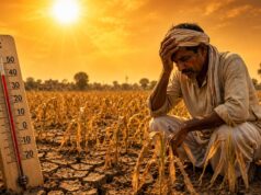 Heatwave Alert: 13 साल में बदला मौसम का मिजाज, भारत में लू वाले दिनों की संख्या 200 तक पहुंची