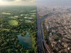 अध्ययन में खुलासा, सेंट्रल दिल्ली का इकोसिस्टम तीन दशक में बुरी तरह सिमटा