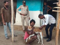बाघों पर मंडराया संक्रमण का खतरा, पेंच टाइगर रिजर्व में कुत्तों की वैक्सीनेशन ड्राइव तेज