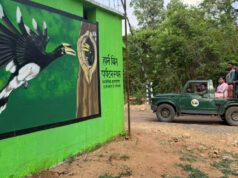 उदंती-सीतानदी टाइगर रिजर्व में जल्द शुरू होगी हॉर्नबिल सफारी, पर्यटन को मिलेगा बढ़ावा
