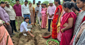 छत्तीसगढ़ में हल्दी क्रांति की शुरुआत, धमतरी के नगरी में 250 टन उत्पादन का लक्ष्य