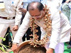 वन आधारित अर्थव्यवस्था से शिक्षा, रोजगार, महिला सशक्तिकरण और सामाजिक सुरक्षा को मिली नई मजबूती