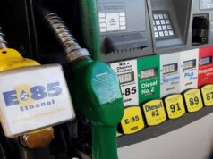 पेट्रोल खर्च होगा कम? E85 फ्यूल और Flex Fuel कारों पर मंत्री का बड़ा बयान